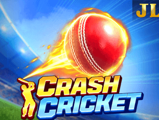 Crash Cricket screenshot