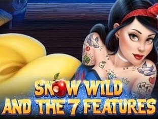 Snow Wild And The 7 Features screenshot